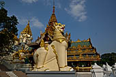 Yangon Myanmar. Shwedagon Pagoda (the Golden Stupa). The southern entrance guarded by two colossal chinthe (half lion, half-dragon guardian figures). 